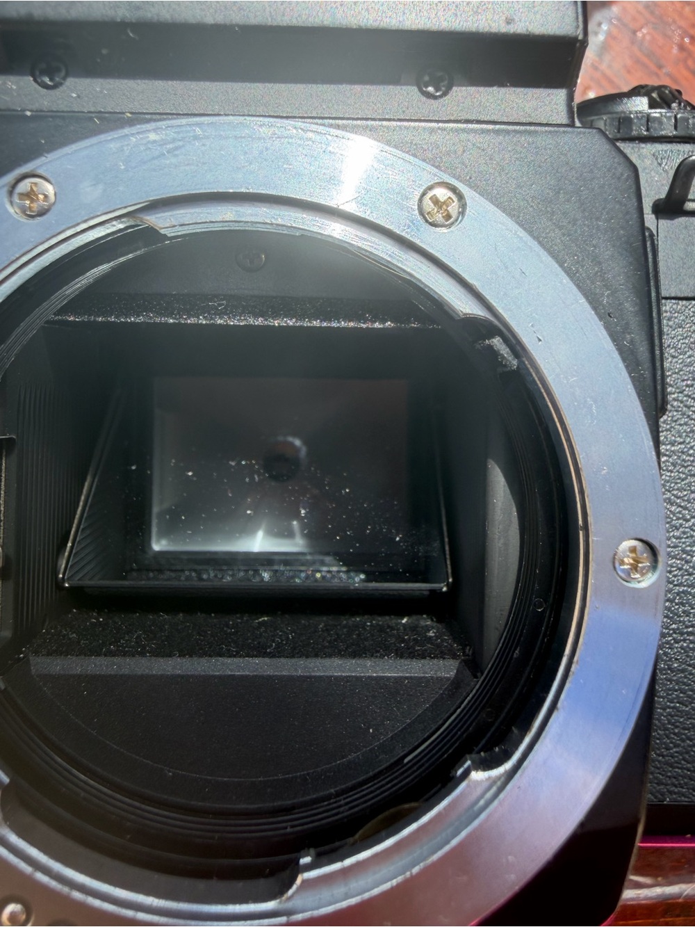 Pentax Black Camera Body with Silver Lens Mount